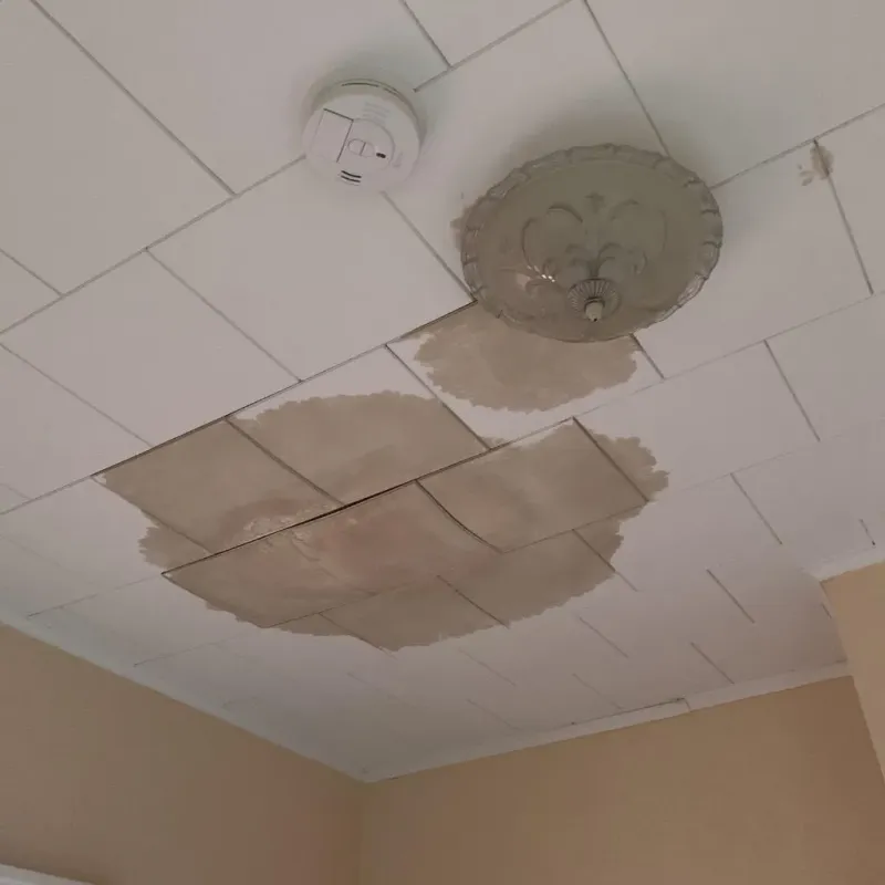 Ceiling Water Damage Repair in Salem, IN