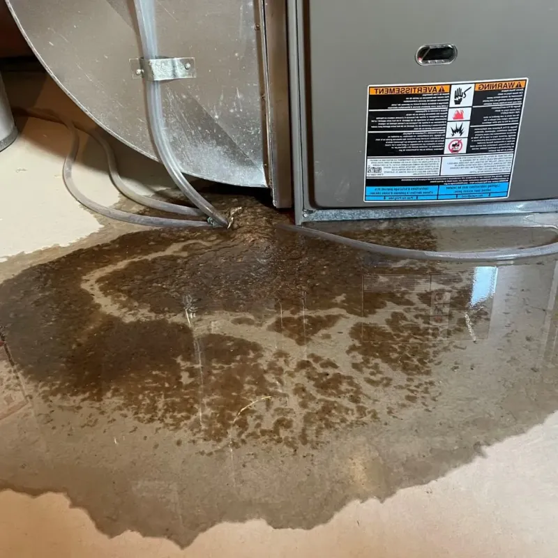Pipe Burst and Leak Restoration in Salem, IN