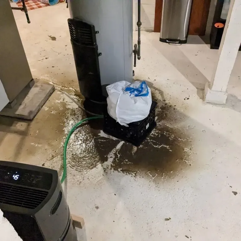 Sewage Backup Cleanup Service in Salem, IN